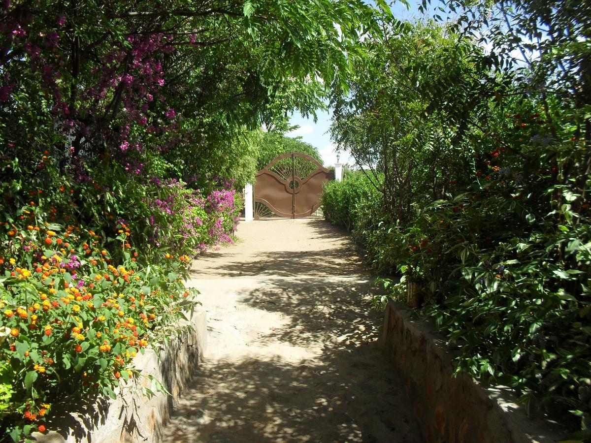 Longido Mountain Lodge Dış mekan fotoğraf