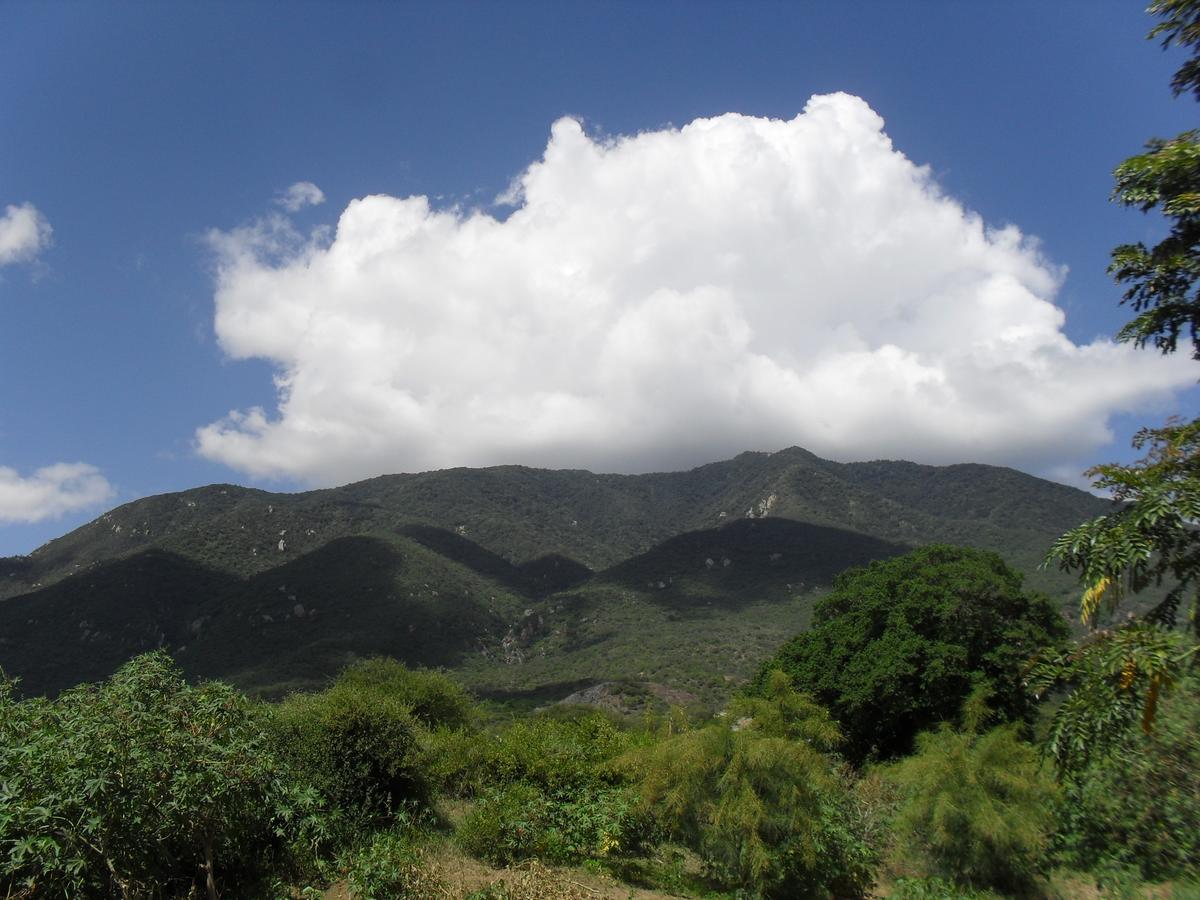 Longido Mountain Lodge Dış mekan fotoğraf